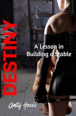 Destiny A Lesson in Building a Stable.jpg