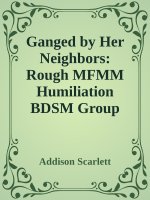 Ganged by Her Neighbors_ Rough MFMM Humiliation BDSM Group Erotica - Addison Scarlett.jpg