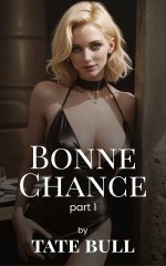 Bonne Chance (part 1)_ A Harem Adventure Story - Tate Bull.jpg