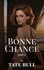 Bonne Chance (part 2)_ A Romantic Harem Adventure - Tate Bull.jpg