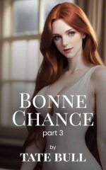 Bonne Chance (part 3)_ A Contemporary Harem Romance - Tate Bull.jpg