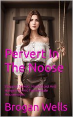 Pervert in the Noose .jpg
