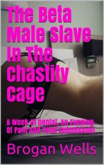 The Beta Male Slave in the Chastity Cage .jpg