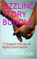 SIZZLING STORY BUNDLE_ 17 Explicit Stories of Alpha Domination - Vixen Wade.jpg