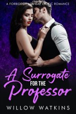 Surrogate For The Professor_ A forbidden age gap erotic romance, A - Willow Watkins.jpg