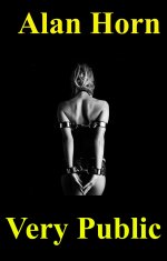 Very Public (Emma & Karma Book 6) - Alan Horn.jpg