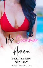 His Summer Harem_ Part Seven_ Spa Day (His Asian Summer Harem Book 7) - O. L. Tyme.jpg