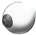 BackgroundEraser_20251130_115552414.png