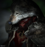 dark1469d0384995e29.png dark1469d0384995e29.png