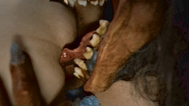 XXX12.png XXX12.png