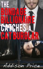Bondage Billionaire Catches a Cat Burglar, The - Addison Price.jpg