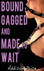 Bound, Gagged, and Made to Wait - Addison Price.jpg