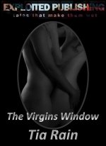 Virgins Window_ A Tale of Two Spying Virgins, The - Tia Rain.jpg
