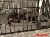 Kidnapping of maya west_24.jpeg