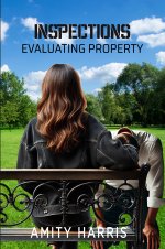 Inspections_ Evaluating Property - Amity Harris.jpg
