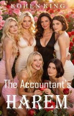 Accountant's Harem_ Complete Harem Fantasy Adventure Box Set, The - Kohen King.jpg