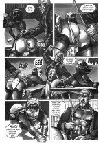 an_sfbp-17a.jpg