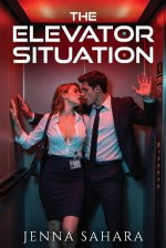 Elevator Situation, The - Jenna Sahara.jpg