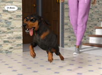 25.png
