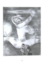 DMDG1_22.JPG
