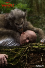 Image4.png