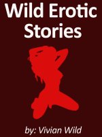 Wild Erotic Stories_.Three Way Sex Vol.2 - Vivian Wild.jpg