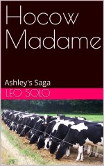Hocow Madame_ Ashley's Saga (Hucow Madame Book 4) - Leo Solo.jpg