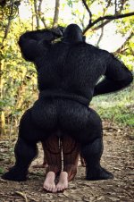 NG  (6).jpg