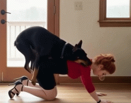 40 seconds later....gif