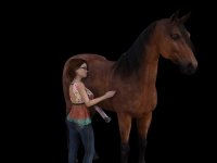 1873_Opt_TabiHorse_01.jpg