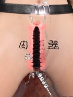 translated-156：156.jpg