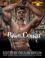 Blue Collar (A Boys Behaving Badly Anthology Book 2) - Belinda LaPage.jpg