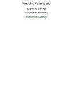 Wedding Cake Island (The Headmaster's Office Book 5) - Belinda LaPage.jpg