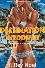 Destination Wedding - Noel, F. Rey.jpg