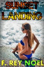Sunset Landing - Noel, F. Rey.jpg