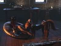 The Witch and the Fox_001-DN-standard.jpg