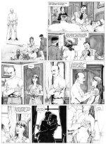 cc_hu-tpg245 Kopie.jpg