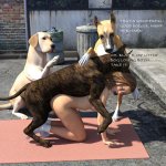 Dogging-In-The-Back-Alley-26.jpg