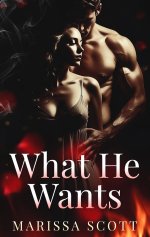 What He Wants - Marissa Scott.jpg