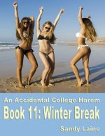 Accidental College Harem Book 11_ Winter break_ A new adult erotic story, An - Sandy Laine.jpg