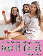 Accidental College Harem Book 14_ The Lab_ A new adult erotic story, An - Sandy Laine.jpg