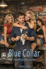 Blue Collar_ A working man's harem (Harem Dreams) - Sandy Laine.jpg