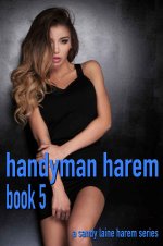 Handyman Harem Book 5_ A MFFF harem series (Handyman_ A harem series) - Sandy Laine.jpg