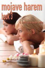 Mojave Harem book 3_ An age gap MFFF tale - Sandy Laine.jpg