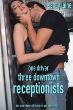 One driver, three downtown receptionists_ An accidental harem adventure (Harem Dreams) - Sandy...jpg