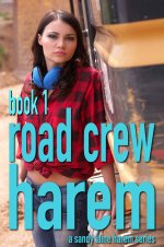 Road Crew Harem Book 1_ A working stiff MFFF harem tale - Sandy Laine.jpg