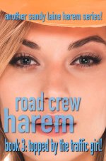 Road Crew Harem Book 3_ Topped by the traffic girl! (Road Crew Harem_ A working stiff MFFF har...jpg