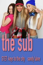 Sub S1E7_ Keys to the city_ A slice of life realistic harem story, The - Sandy Laine.jpg