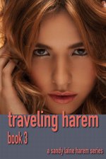 Traveling harem Book 3_ A MFFF harem series - Sandy Laine.jpg
