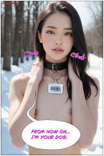 5.webp
